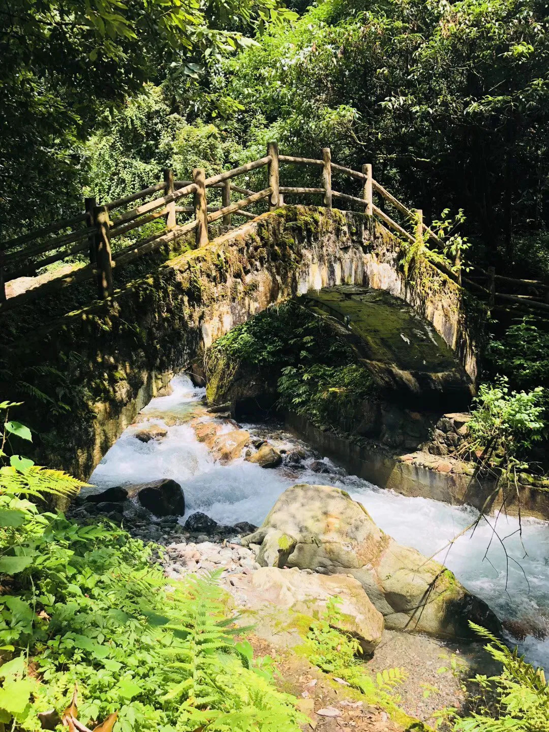 美妙森林找不同